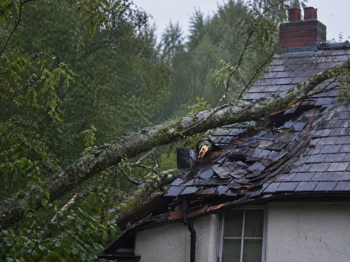 Fallen tree resting on a damaged slate roof of a Suffolk cottage